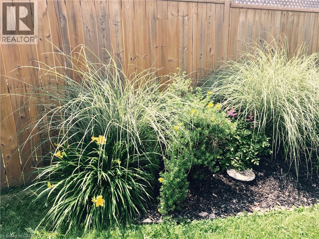 11 Wordsworth Place Unit# Lower, Kitchener, Ontario  N2B 3K6 - Photo 18 - 40795043