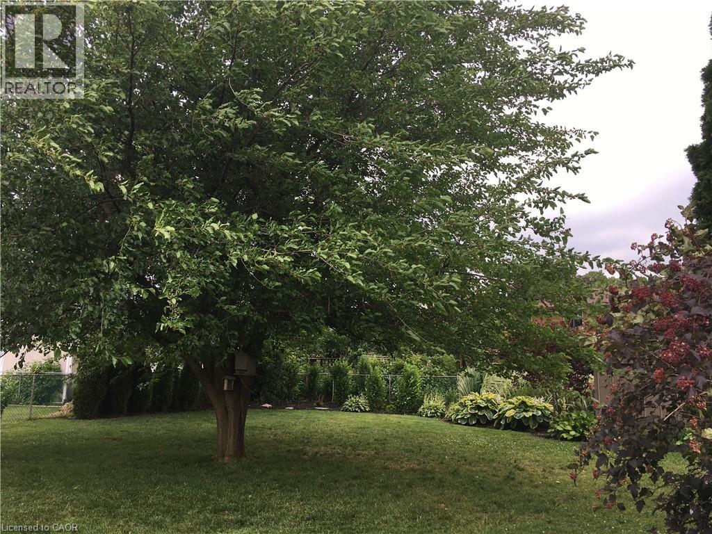 11 Wordsworth Place Unit# Lower, Kitchener, Ontario  N2B 3K6 - Photo 20 - 40795043