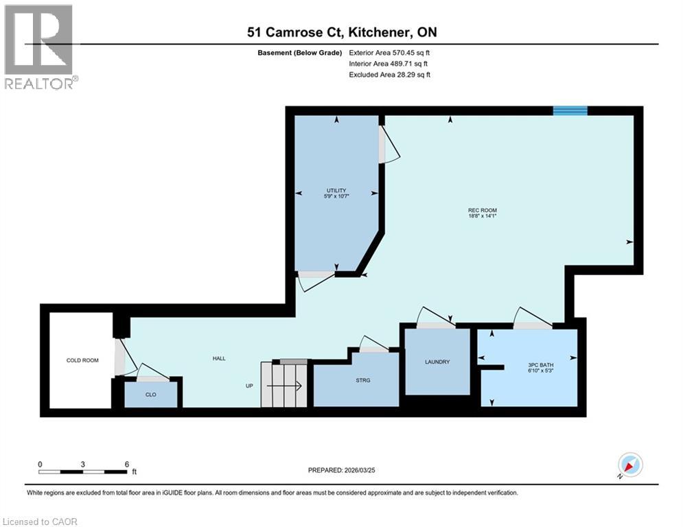 51 Camrose Court, Kitchener, Ontario  N2M 5J4 - Photo 44 - 40823615