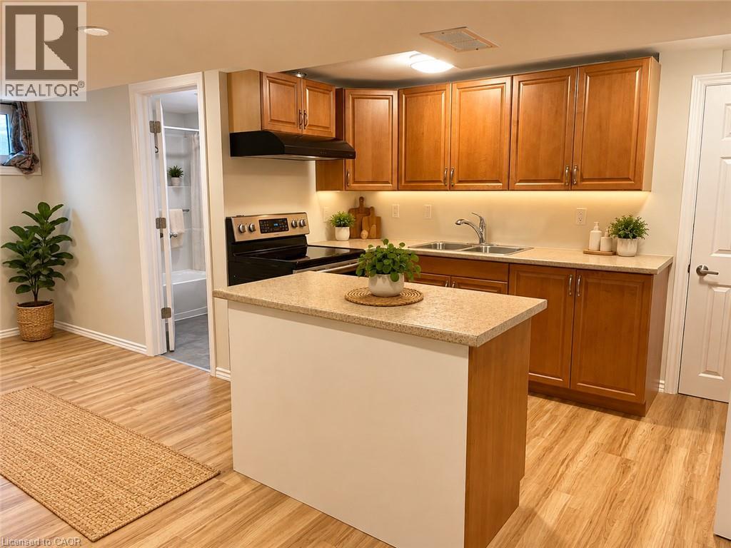 249 Blucher Street Unit# Lower, Kitchener, Ontario  N2H 5V6 - Photo 4 - 40867628