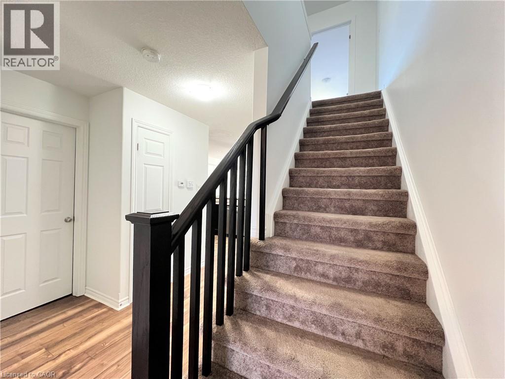 46 Renfrew Street, Kitchener, Ontario  N2R 0G5 - Photo 13 - 40868776