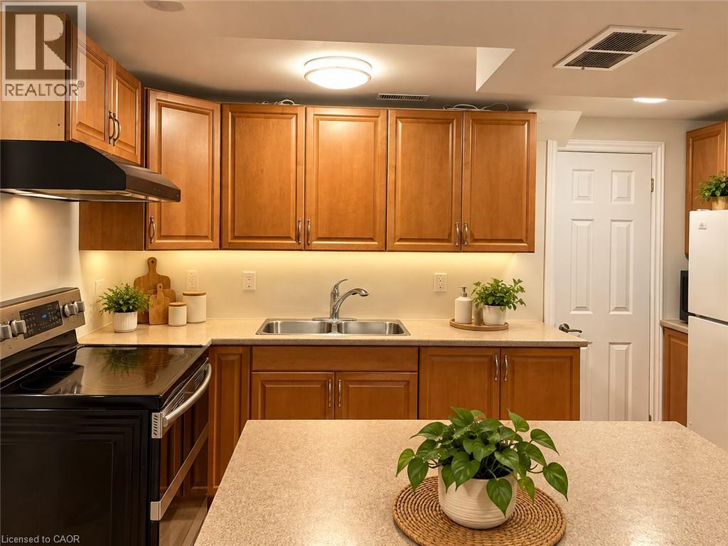 249 Blucher Street Unit# Lower, Kitchener, Ontario  N2H 5V6 - Photo 5 - 40873650
